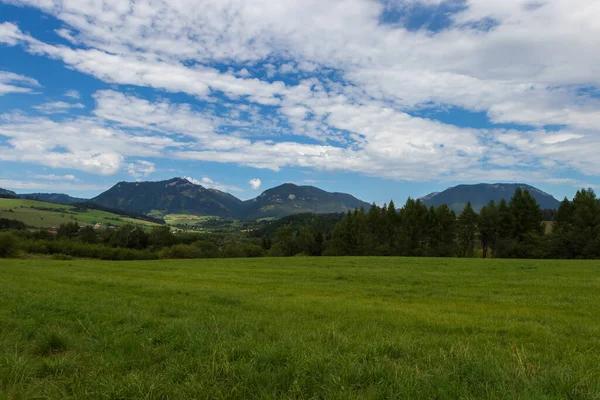 Yeşil çayırlı bahar manzarası. Arka planda tepeler var..