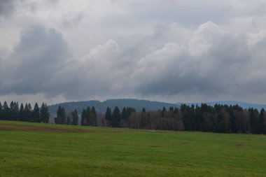 Yeşil ağaçlı bahar manzarası. Arka planda ağır bulutlar var.