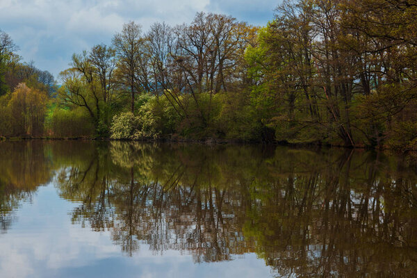 Spring landscape with green trees. The trees are reflected in the pond water.