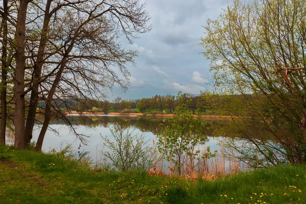 Paisagem Primavera Com Árvores Verdes Árvores São Refletidas Água Lagoa — Fotografia de Stock