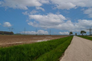 Yüksek voltaj direkleriyle manzara. Kırsal kesimde elektrik hatları.