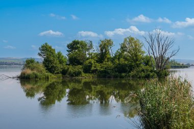 Güzel manzara. Palava - Moravya - Çek Cumhuriyeti manzarası. Gün batımında Musov Gölü ve üzüm bağları.