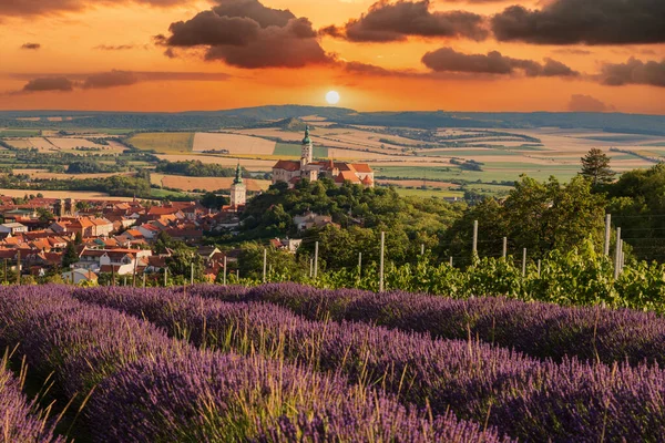 Beautiful Landscape View City Mikulov Czech Republic Europe Foreground Vineyards - Stock-foto