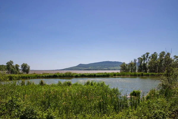 Bellissimo Paesaggio Veduta Palava Moravia Repubblica Ceca Lago Musov Vigneti — Foto Stock