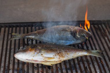 Two sea fish on the grill are being grilled on barbecue coals.