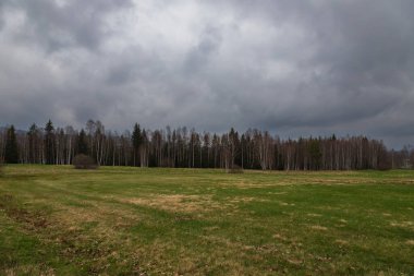 Sumava protected landscape area in the Czech Republic in Europe. Area Chalupska slat - forests, meadows, path to slat.
