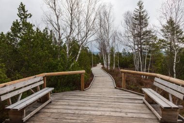 Sumava protected landscape area in the Czech Republic in Europe. Area Chalupska slat - forests, meadows, path to slat.