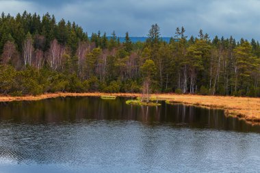 Sumava protected landscape area in the Czech Republic in Europe. Area Chalupska slat - forests, meadows, path to slat.