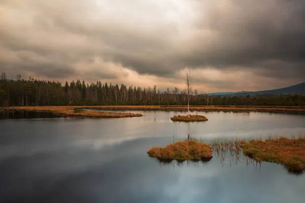 Sumava Protected Landscape Area Czech Republic Europe Area Chalupska Slat — 스톡 사진