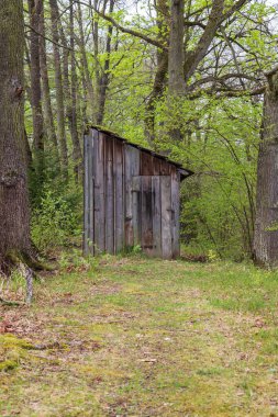 Old wooden shed on the road. There is forest and green grass around.