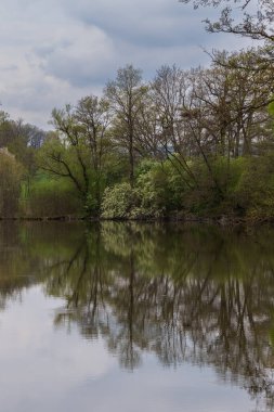 Spring landscape by the pond. There is grass around and blue clouds in the sky.