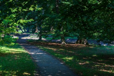 Parktan geçen toprak yol. Yolun etrafında bir çayırlık ve ağaçlar var..