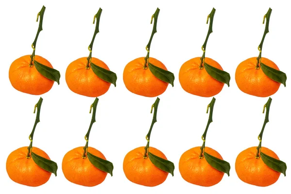 Fruta Exótica Mandarina Naranja Con Tallo Verde Hoja Aislado Sobre — Foto de Stock