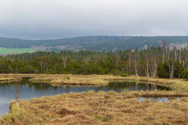 Sumava Protected Landscape Area Czech Republic Europe Area Chalupska Slat — Foto Stock