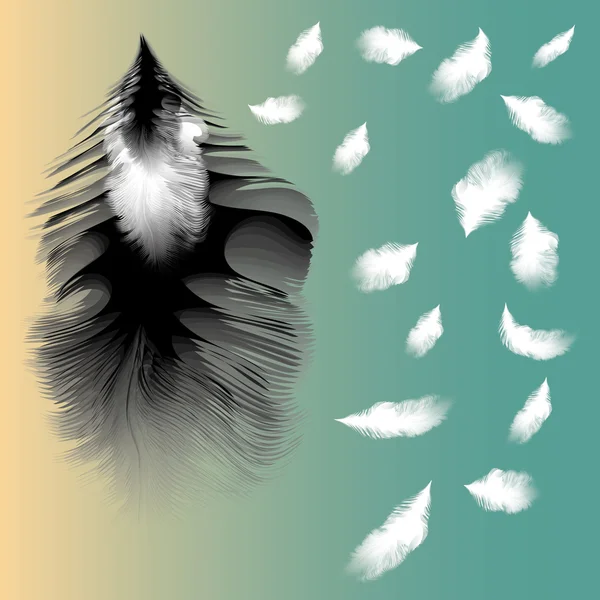 Διανυσματική απεικόνιση φτερών — Διανυσματικό Αρχείο