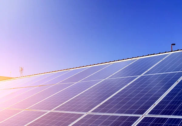 Fotovoltaik panel, depolamak için yeni teknoloji ve insan yaşamı, sürdürülebilir enerji ve çevre dostu kavramı ile doğadan gelen gücü kullanmak.