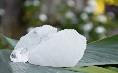 Alum on banana leaf with blurred background.