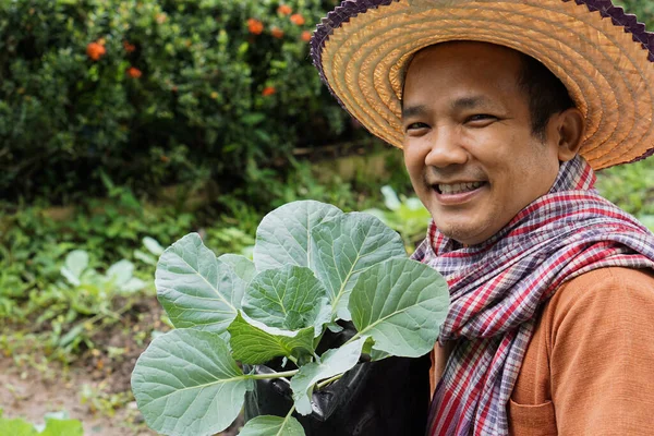 Aziatische Boer Van Middelbare Leeftijd Doet Zijn Plant Groeien Achtertuin — Stockfoto