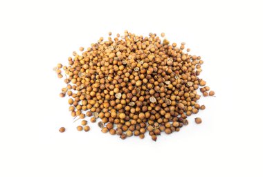 Beyaz arka planda kişniş tohumunun üst görüntüsü. Yumuşak ve seçici odaklanma, Asya malzemeleri konsepti.