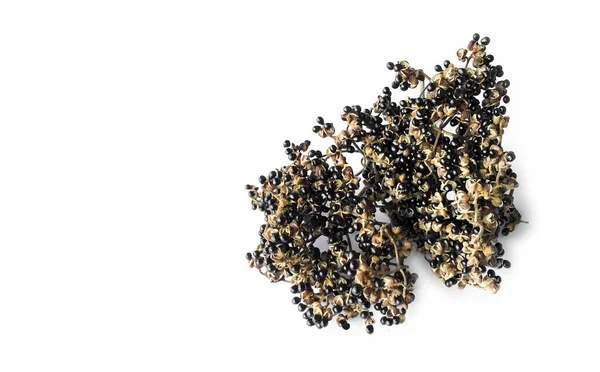 Dry Zanthoxylum Limonella Alston Seed White Background Asian Herbs Concept — стокове фото
