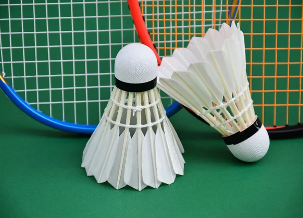 Volant Pour Badminton De Plumes D'oiseaux équipement De Sport Illustration  Vectorielle