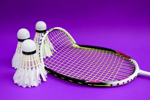 Gebrauchte Federbälle Und Kaputte Rahmenschläger Auf Violettem Boden Des Badmintonhallenplatzes — Stockfoto