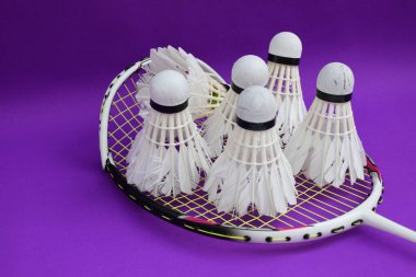 Badminton mekik penisleri ve kapalı badminton kortunun menekşe zemininde kırık çerçeve raketi kullanıldı. Dünyadaki en dayanıklı badminton aşıkları konsepti..