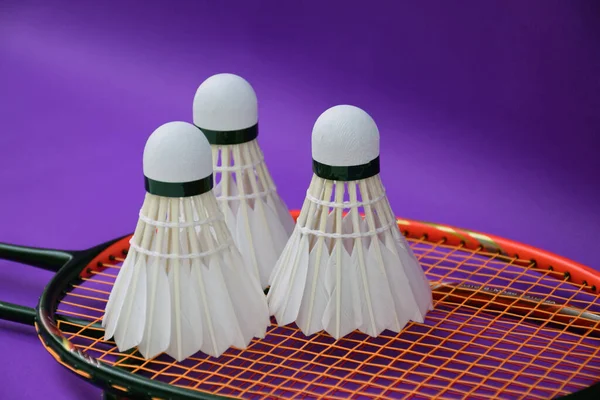 Witte Crème Badminton Shuttledoffers Rackets Paarse Vloer Indoor Badminton Rechtbank — Stockfoto