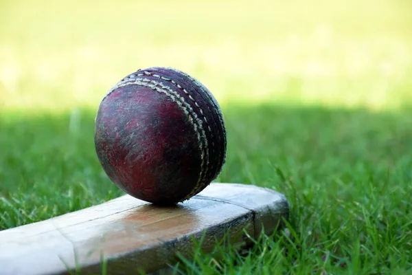 Cricket sport equipments, old leather ball, wooden bat, helmet on court, soft and selective focus.