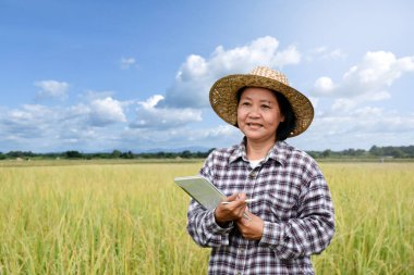 Asyalı yaşlı çiftçinin portresi. Akıllı telefon tutuyor ve pirinç tarlasının ortasındaki diğer insanlarla bağlantı kurmak için kullanıyor. Sıradan insanların günlük yaşamındaki akıllı aletler..