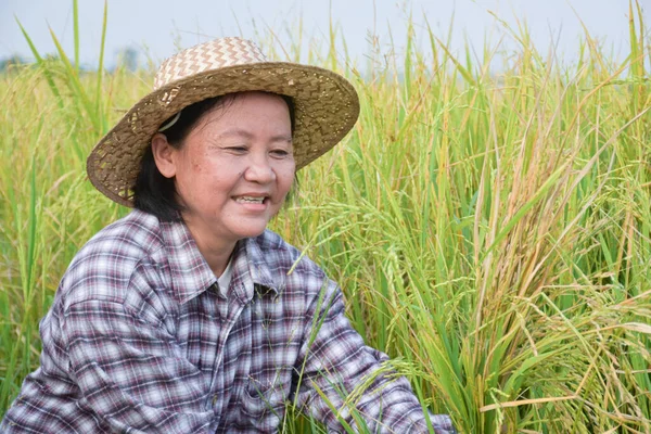 Portret Van Aziatische Oudere Senior Vrouwelijke Boer Houdt Sikkel Zit — Stockfoto