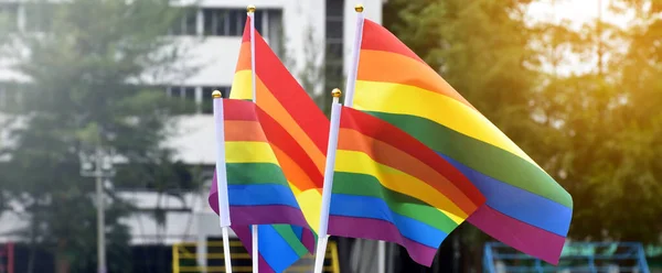 彩虹旗 象征着Lgbt的性别多样性 在学校操场上的草场前展示 模糊的建筑背景 骄傲月 世界各国庆祝Lgbt的概念 — 图库照片
