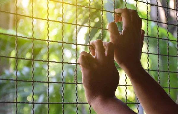 Closeup hands of human which was imprisoned or restricted in freedom within a metal fence or steel bars in a place of detention lacks freedom and freedom of life concept, selective focus on hands.