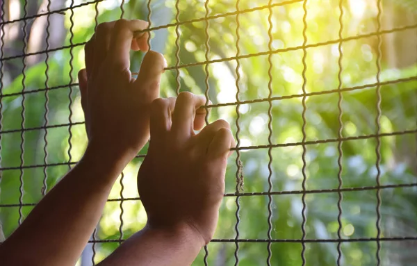 Closeup hands of human which was imprisoned or restricted in freedom within a metal fence or steel bars in a place of detention lacks freedom and freedom of life concept, selective focus on hands.