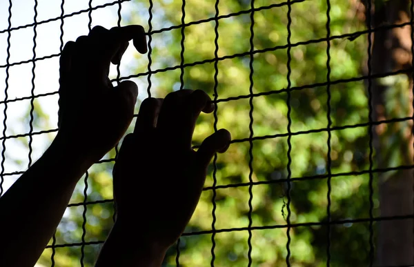 Closeup hands of human which was imprisoned or restricted in freedom within a metal fence or steel bars in a place of detention lacks freedom and freedom of life concept, selective focus on hands.