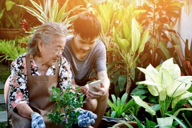 Asyalı son sınıf öğrencisi ve yaşlı bir kadın torunuyla birlikte saksılarının önünde oturuyor. Öğrenmek ve cep telefonu takmayı öğrenmek için. Yumuşak ve seçici odaklı, IT konseptli mutlu aile..