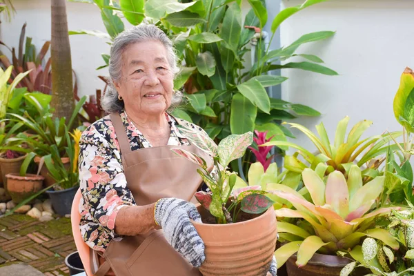 Portret Van Een Oudere Aziatische Vrouw Bloemenjurk Draagt Handschoenen Houdt — Stockfoto