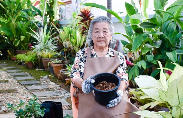 Portret Van Een Oude Aziatische Vrouw Een Bloemenjurk Draagt Handschoenen — Stockfoto