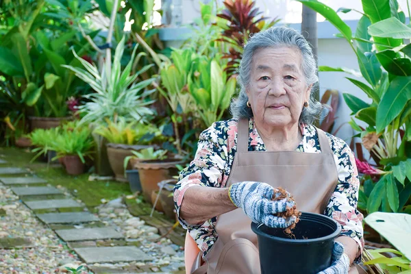 Portret Van Een Oude Aziatische Vrouw Een Bloemenjurk Draagt Handschoenen — Stockfoto