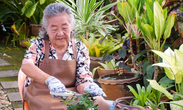 Portret Van Aziatische Oudere Vrouw Die Lacht Zit Stoel Voor — Stockfoto