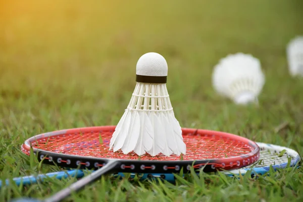 Badminton rakcets and badminton shuttlecocks on grass lawn for outdoor playing afterwork or free times activities in daily life.