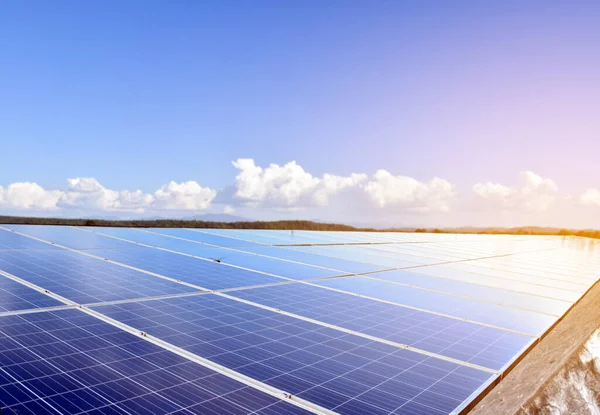 Panel Fotovoltaico Nueva Tecnología Para Almacenar Utilizar Poder Naturaleza Con —  Fotos de Stock
