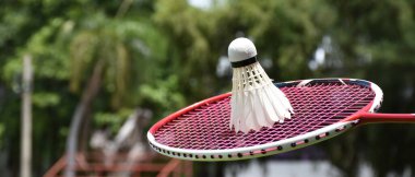 Badminton raketi ve badminton mekik horozları açık hava oyunu için, yumuşak ve seçici bir odak noktası, açık hava aktivitesi konsepti.