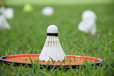 Beyaz kremalı badminton topu ve badminton raketi çimenli arka planda bulanık mekik penisleri açık havada badminton oynamak için konsept, yumuşak ve seçici odaklanma.