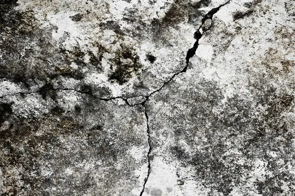 Модель Наружного Цементного Пола Трещинами Стеблями Поверхности Цементного Пола Мягкий — стоковое фото