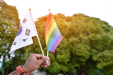 Gökkuşağı bayrağı ve Güney Kore ulusal bayrağı el ele tutuşmuş, yumuşak ve seçici odaklanma, tüm dünyada lgbtq + 'nın gurur ayında kutlama konsepti.