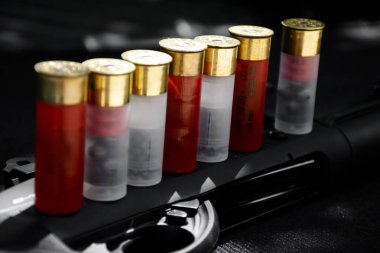 Pompalı tüfeğin yanında pompalı tüfek mermileri, yumuşak ve seçici odaklanma.