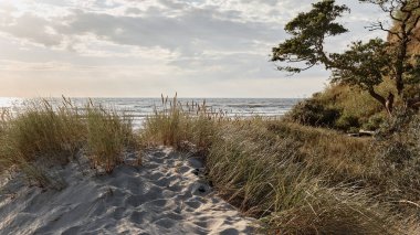 Gün batımında deniz manzaralı panoramik bir manzara. Ada