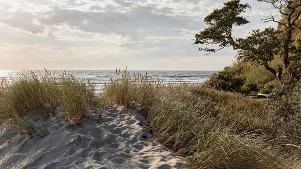 Gün batımında deniz manzaralı panoramik bir manzara. Ada