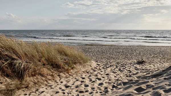 Panoramalandskap Med Hav Vid Solnedgången — Stockfoto